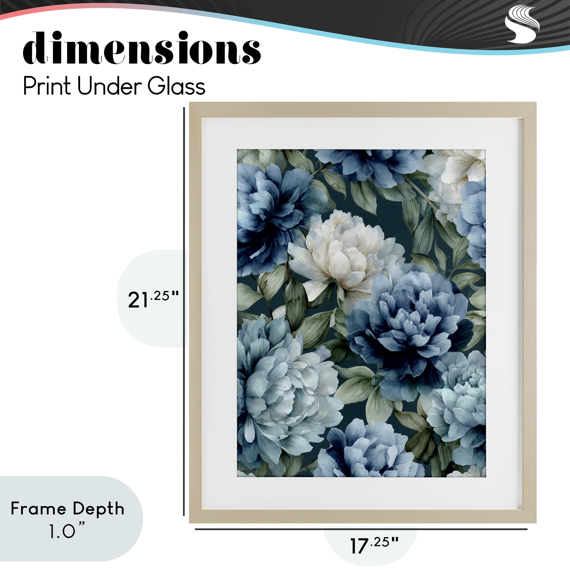 Stupell Industries Blooms On The Vine Birch Framed Print Under Glass, design by Franklyn Gregory