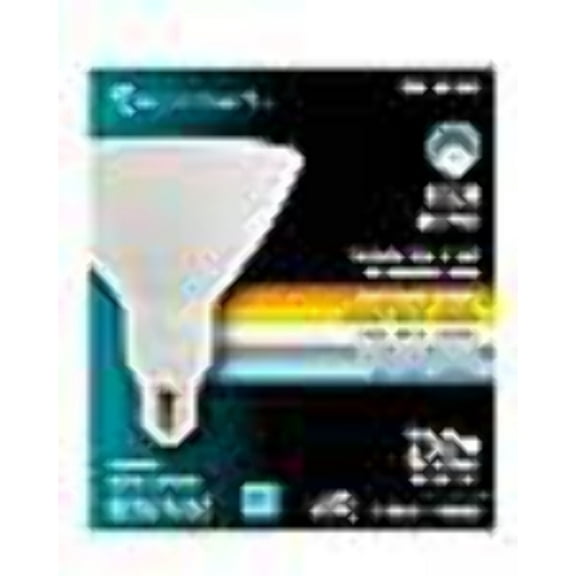 250-Watt Dimmable Flood LED Bulb