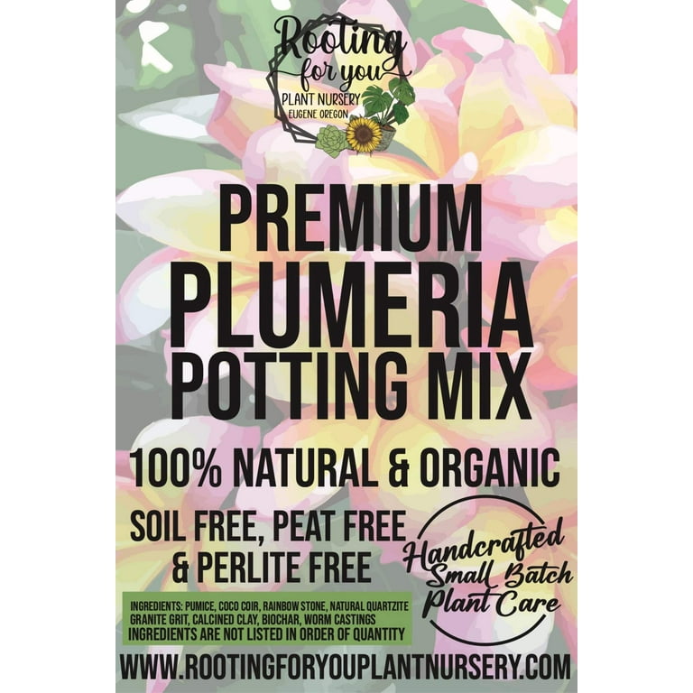 large self watering planter Large Flower Pots - Viva Self-Watering Pots main image 0