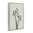 thumbnail image 4 of Stupell Industries White Flower Bundle Botanical & Floral Photography Gray Framed Art Print Wall Art, 16 x 24, 4 of 10