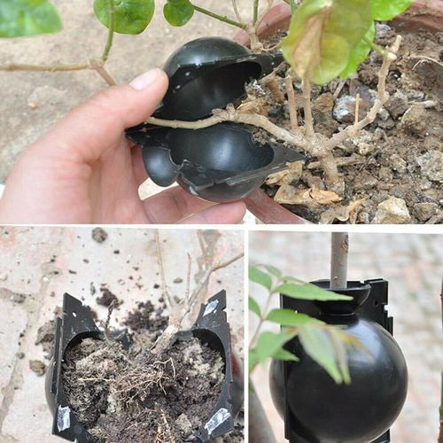 Details about   1-10 Reusable Plant Rooting Grow Box High Pressure Propagation Ball Layering Pod 