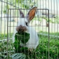 thumbnail image 4 of Cat Cage Piece Wire Fencing Door Dog Gate Panel Fence Panels Playpen Indoor Bunny Baby, 4 of 6