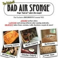 Bad Air Sponge neutralizes and absorbs odors 14oz, 14 Ounce (Pack of 5