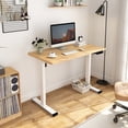 thumbnail image 1 of FlexiSpot 48" x 30" Home Office Electric Height Adjustable Standing Desk Memory Programmable Presets Computer Desk White and Maple, 1 of 6