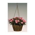 thumbnail image 1 of Deer Park D68 BA205X 16 In. Metal Hanging Basket With Coco Liner, 1 of 1