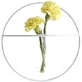 thumbnail image 1 of Metal Frame Round Hanging Planter Test Tube Flower Bud Vase Terrarium Container Flower Pot Holder Home Decor (White), 1 of 5