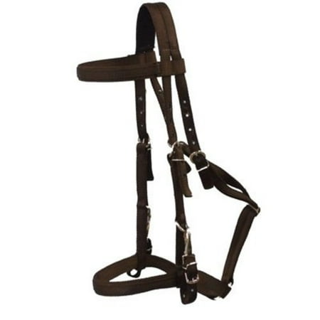 Trail Bridle - Parker Trail Bridle Horse Black