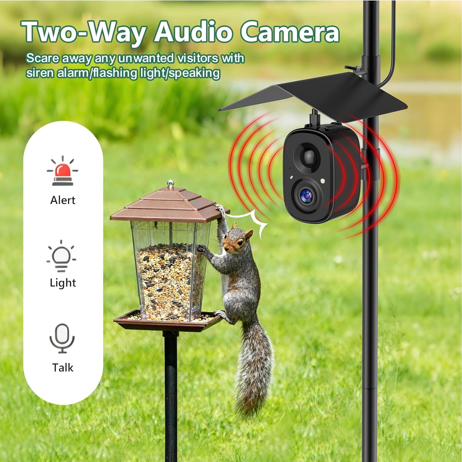 Smart Bird Feeder Camera Solar Powered with Pole
