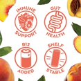 thumbnail image 4 of LMHF Probiotic Kombucha Zero Sugar Peach Tea - No Refrigeration Needed, Keto-Friendly, Organic, Vegan, Gluten-Free - 12oz Cans (8 Pack), 4 of 5