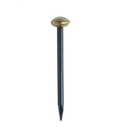 Framer Supply Picture Hanging Brass Capped Steel Nail, 1 inch, Pack of 100