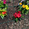 thumbnail image 3 of Welded Wire Fence, Green PVC Coated, 16 Gauge, 2 x 3-In. Mesh, 24-In. x 50-Ft. - 308349A, 3 of 4
