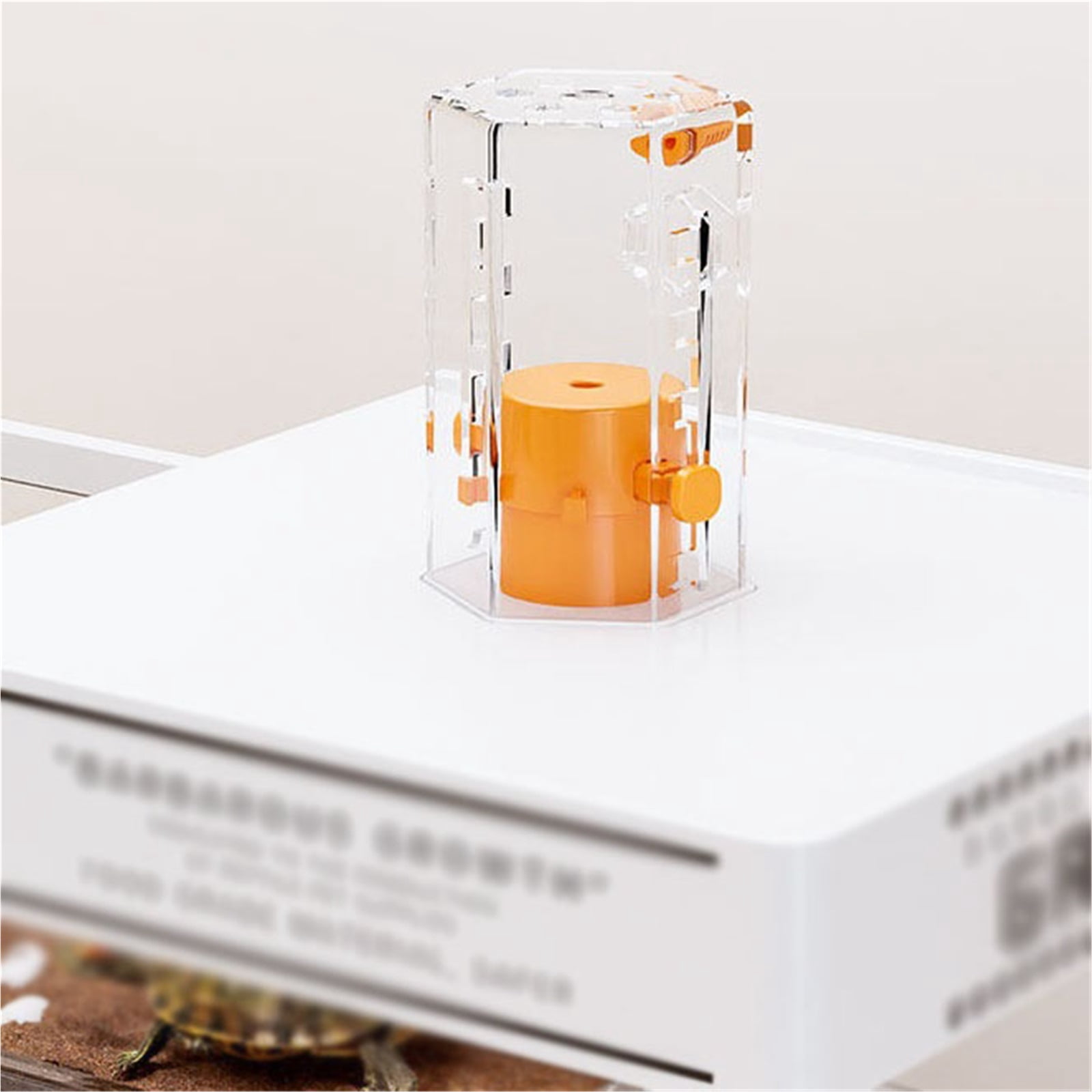 Small turtle tank with sun drying platform climbing platform dedicated feeding
