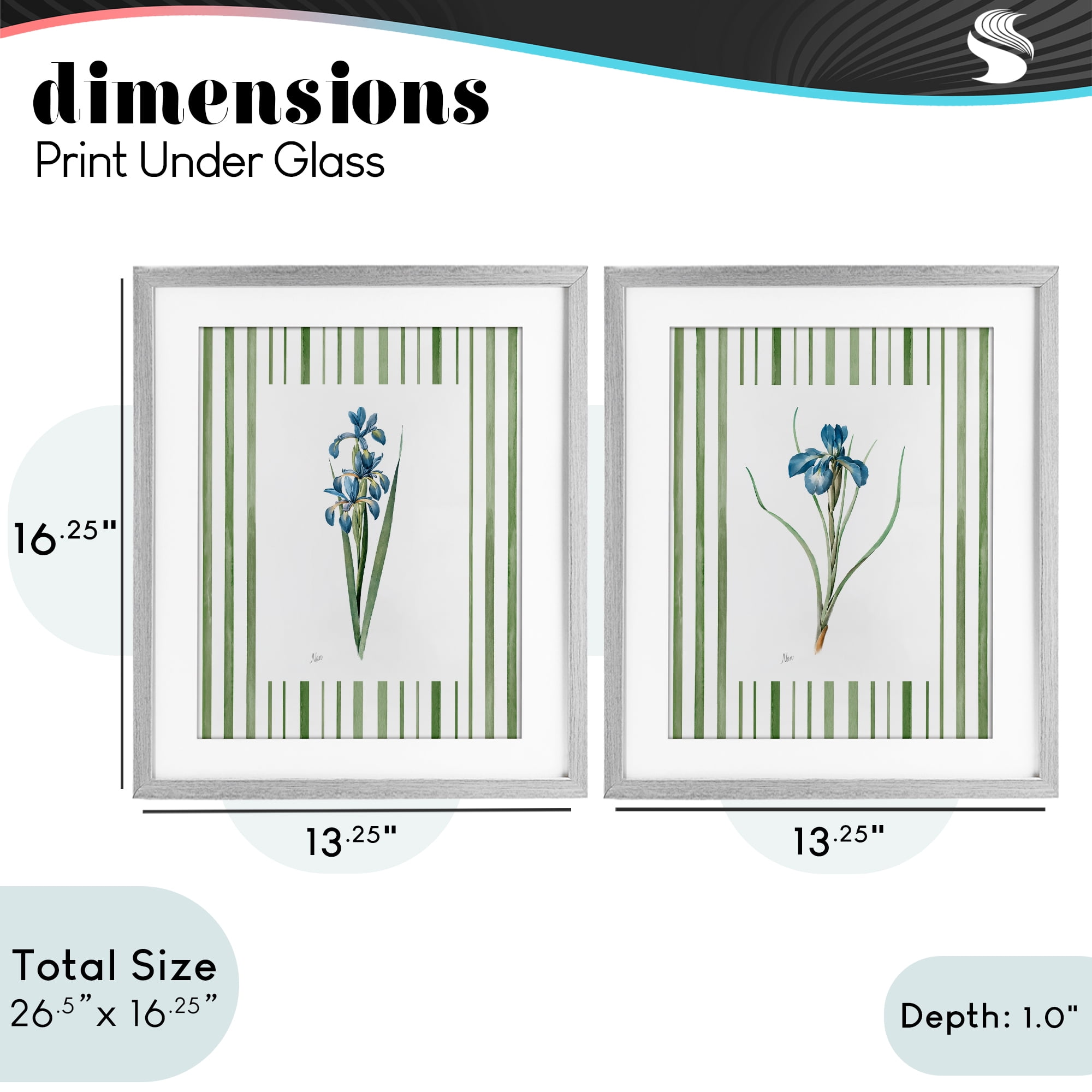 Stupell Industries Irises And Stripes 2 Piece Gray Framed Print Under Glass Set, design by Nan