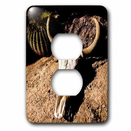 3dRose Cowl skull out in the desert, Tucson, Arizona, USA. - 2 Plug Outlet Cover (lsp_278457_6)
