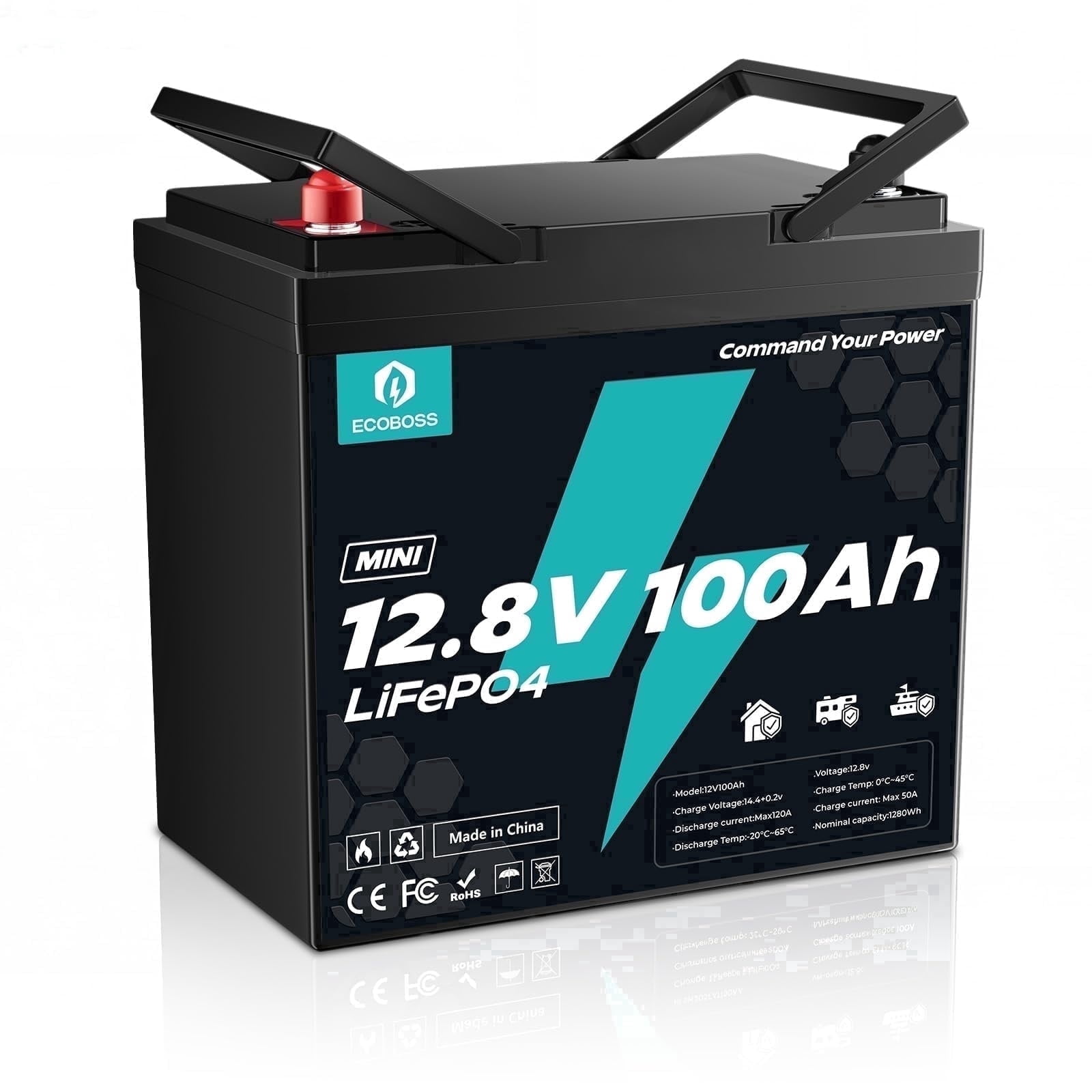 TCBWORTH 12V 100Ah LiFePO4 Battery, Bluetooth Monitoring
