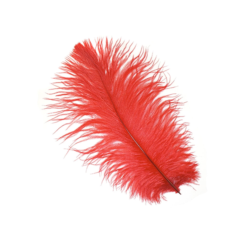Zucker Feather Products Ostrich Feathers Drabs Selected 13 16