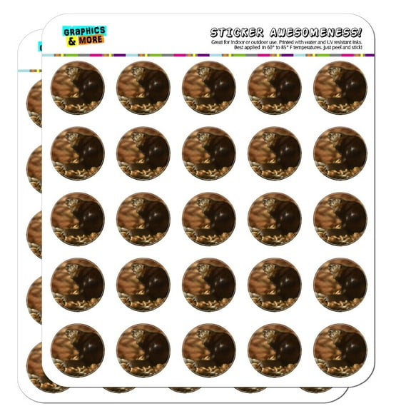 Beaver by the River Planner Calendar Scrapbooking Crafting Stickers