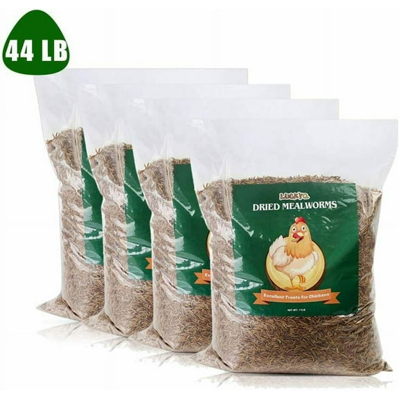 LuckyQ Dried Mealworms for chickens 44 lbs, Organic Pet Supply Meal Worms 100% Natural Treats for Wild Birds, Chickens, Reptiles, Fish, Blue Birds, Turkey, Hamsters Hen, Hedgehog Food