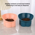 thumbnail image 3 of Tnobhg Pet Dog Cat Bowl with Raised Stand Food Water Cat Feeder Protect Cervical Vertebra Backflow Prevention Elevated Cat Food Bowl, 3 of 8