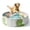 Light Green, variant on Rirool 32" Foldable Cat Ball Pit Playpen for Cats, Small Dogs & Toddlers, Sturdy Oxford Pet Play Yard for Indoor Outdoor Use, Portable Pet Pool, Dark Green, No Balls Included