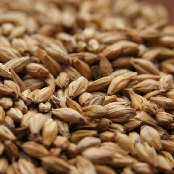 Melanoidin Malt - Weyermann® Specialty Malts 10 lbs beer brewing grains (Whole/Not Crushed)