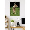 thumbnail image 3 of Famous Kitten Hang In There Poster Wall Poster, 22.375" x 34", 3 of 4