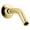 Vibrant Polished Brass, variant on Kohler 7395-BN 5.375 in. Shower Arm & Flange - Vibrant Brushed Nickel