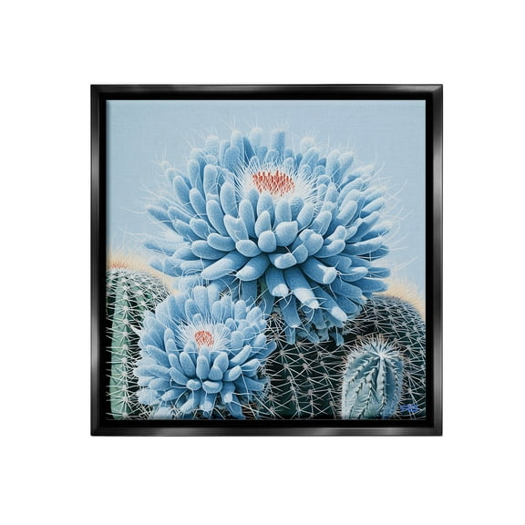 Stupell Industries Blue Cactus Botanicals Botanical & Floral Painting Black Floater Framed Canvas Art Print Wall Art, 18 x 18