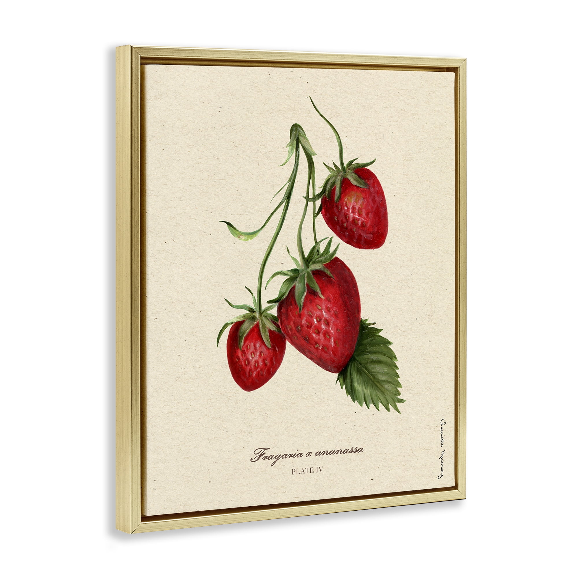 Stupell Industries Strawberry Fruit Portrait Gold Framed Floater Canvas Wall Art, design by Danielle Murray