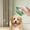 B, variant on Shaped Pet Silicone Bath Brush Multifunctional Cat Dog Floating Hair Removal Bathing Back Scrubbing Massage Tool