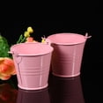 thumbnail image 3 of 6pcs Multifunctional Bucket Iron Bucket Pink Flower Planter Home Decoration, 3 of 6