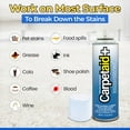 thumbnail image 3 of JJEAN-Carpet Aid Spot and Stain Remover, pH Balanced Cleaner for Carpets, Rugs, and Upholstery – Removes Oil, Grease, Ink, Coffee, Pet Urine, and Lipstick, 3 of 4