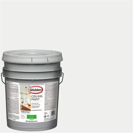 Glidden Grab N Go Flat Finish Interior Ceiling Paint White