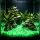 thumbnail image 4 of Pequeñas piedras romboidales que brillan en la oscuridad para sustrato de jardín y acuario: piedras fluorescentes luminosas para decoración nocturna, paisajismo acuático y detalles de caminos., 4 of 6
