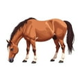 thumbnail image 4 of cartoon Horse Stickers, Waterproof Horse Sticker for Water Bottle Laptop Phone Cases Planner Skateboard Luggage Helmet Party Favor Decor, Ideal for Adults Teens Teacher Rewards, 4 of 8