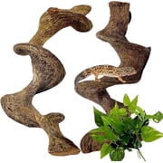 2PCS Natural Reptile Climbing Branches Decor,1.4-1.8" Thick Natural Snake Climbing Forest Wood with Plant Leaf Decor,Lizard Forest Branch,Geckos Tank Tree Trunk Accessories for Bearded Dragons（M）