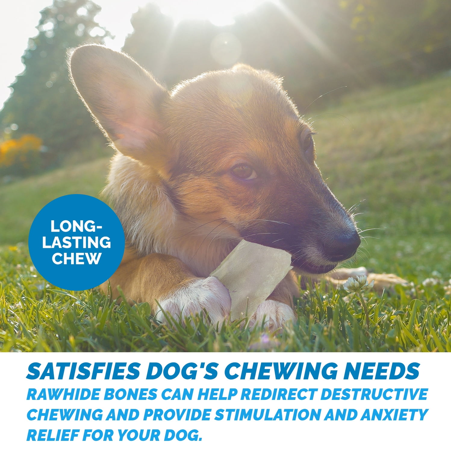 How Often Can You Give Your Dog Rawhide