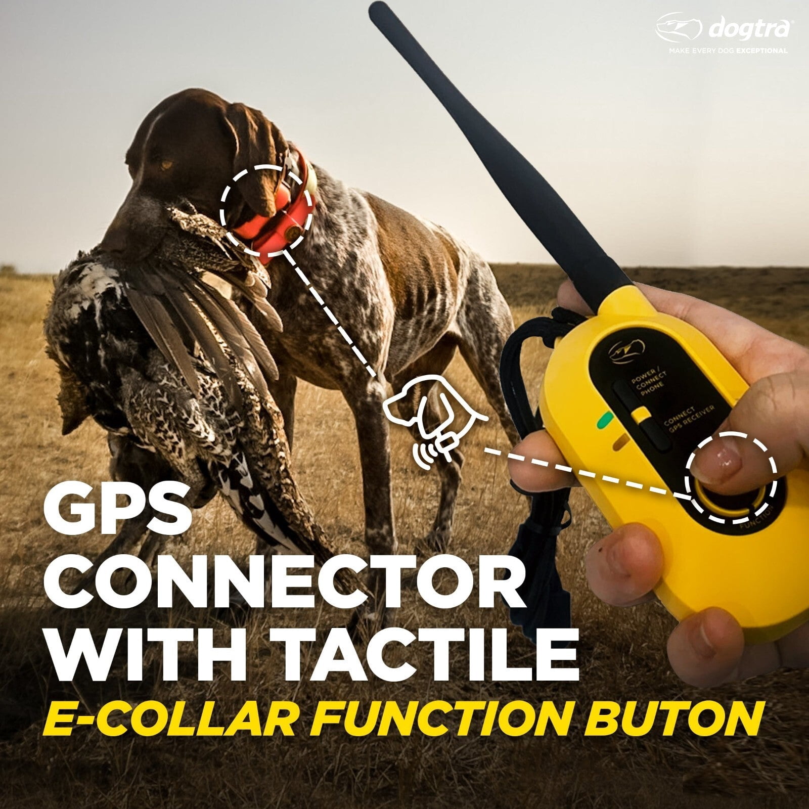Dogtra Pathfinder 2 GPS Dog Tracker E Collar - 9 Mile Range, Waterproof, Free App, No Monthly Fees