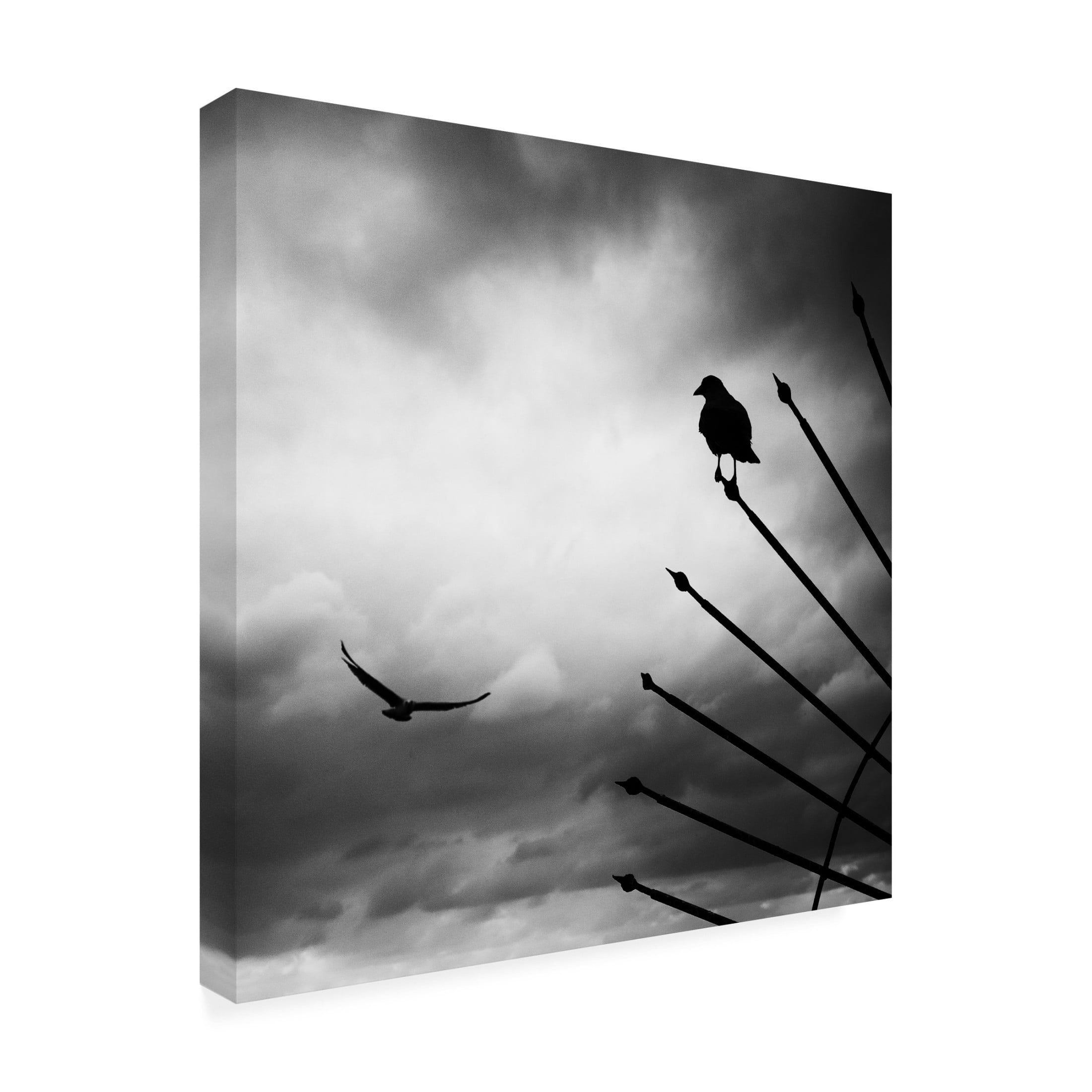 Trademark Fine Art Emel Sefer Welcome Canvas Wall Art
