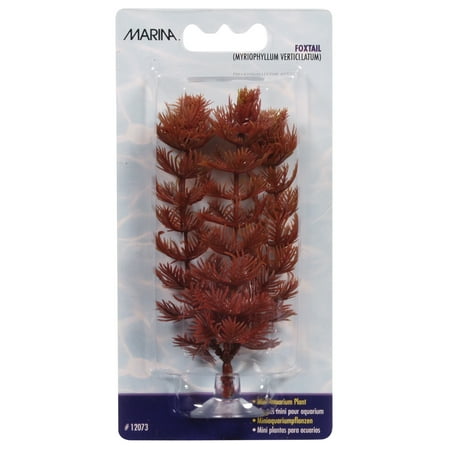 Marina CUBUS Glass Betta Kit