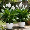 thumbnail image 4 of PoyoKee Fake Flowers, 2pcs No Watering Ground Stake Artificial Flowers for Outdoors, No-Fade Faux Fake Plants for Porch Garden Room Decor, 22 inch, 4 of 6