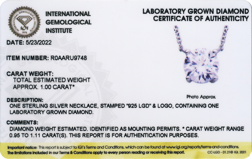 Forever Facets 1 CT TW Lab Grown Diamond Necklace in Platinum over Sterling Silver, Adult Female