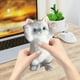thumbnail image 1 of Xihbxyly Juguete Antiestrés para Gatos, Adorable Peluche de Gato Amasador, Pelota Antiestrés Suave de Simulación de Gato, Diseño Portátil para Relajarse En Cualquier Lugar, Regalo Perfecto para Amant, 1 of 6