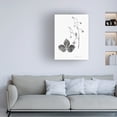 thumbnail image 3 of Vision Studio 'Botanical Imprint IV' Canvas Art, 3 of 3