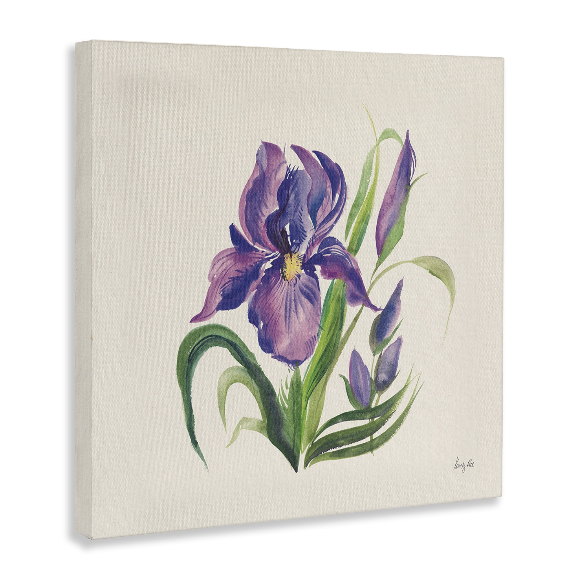 Stupell Industries Purple Iris Flower Botanical & Floral Painting Gallery Wrapped Canvas Art Print Wall Art, 36 x 36