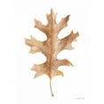 thumbnail image 2 of Nai, Danhui 15x18 Gold Ornate Wood Framed with Double Matting Museum Art Print Titled - Fallen Leaf I, 2 of 4