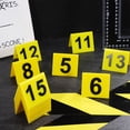 thumbnail image 2 of 15 Pcs Number Plate Crime Scene Markers Game Supply Table Numbers Sign Plastic Banquet, 2 of 6