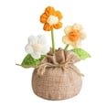 thumbnail image 1 of DFC Handmade Crochet Mini Potted Boho Home Decoration Knitted Desktop Ornament For Desk Bedroom Balcony, 1 of 8