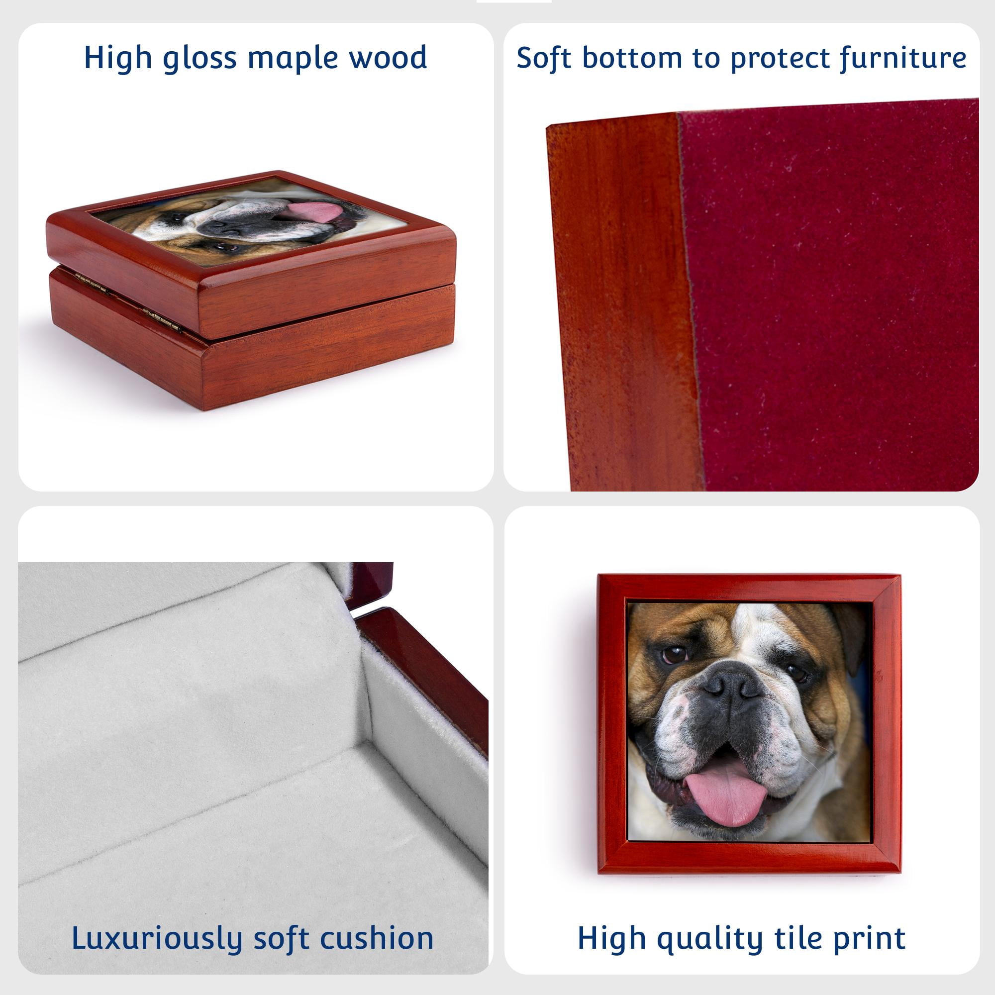3dRose, An English Bulldog in Belgium-EU04 DFR0027 - David R. Frazier, Jewelry Box 5.5x5.5 inch with 4 inch tile