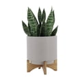 thumbnail image 4 of 10" PLANTER W/ WOOD STAND, MATTE BEIGE 06876, 4 of 9